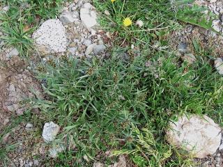 Img.VTax3029.ExN.Img4