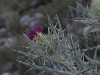Img.VTax3221.ExN.Img12