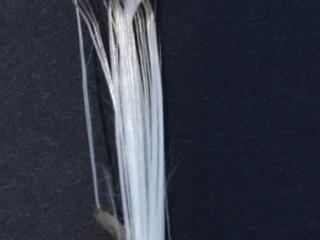 Img.VTax3221.ExN.Img9