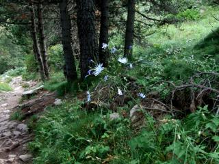 Img.VTax3368.ExN.Img9