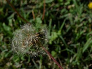 Img.VTax3375.ExN.Img4
