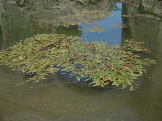 Img.VTax3487.ExN.Img1