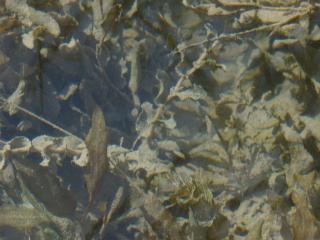 Img.VTax3492.ExN.Img1