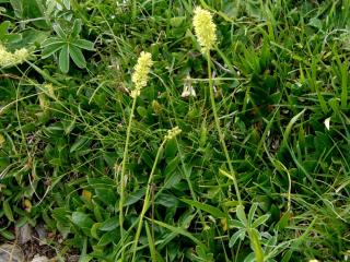 Img.VTax3507.ExN.Img12