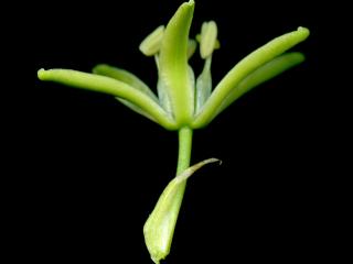 Img.VTax3545.ExN.Img9