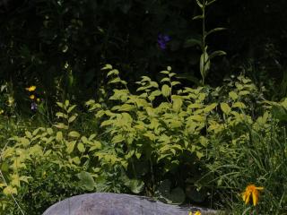 Img.VTax3590.ExN.Img7