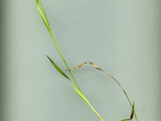 Img.VTax3694.ExN.Img5