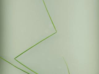 Img.VTax3756.ExN.Img3