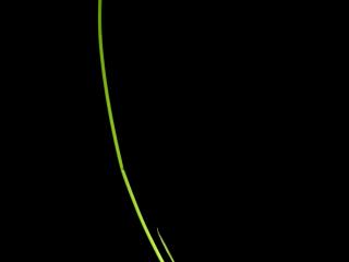 Img.VTax3780.ExN.Img3