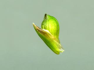 Img.VTax3781.ExN.Img6
