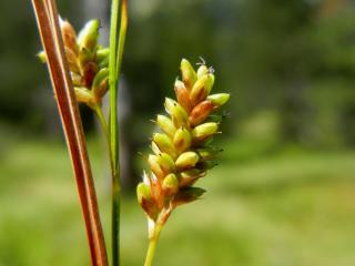Img.VTax3794.ExN.Img4