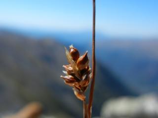 Img.VTax3796.ExN.Img9