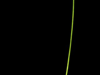 Img.VTax3853.ExN.Img7