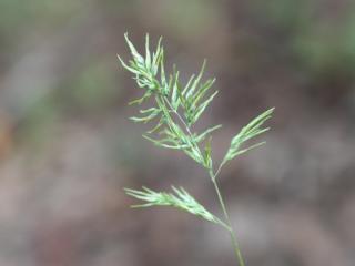 Img.VTax3896.ExN.Img6