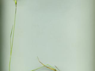 Img.VTax3965.ExN.Img3