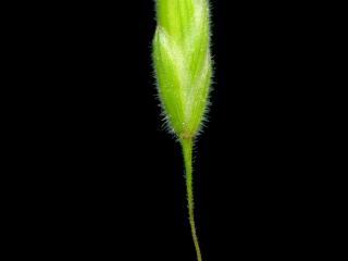 Img.VTax3965.ExN.Img9
