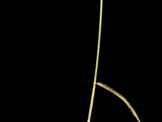 Img.VTax3976.ExN.Img6