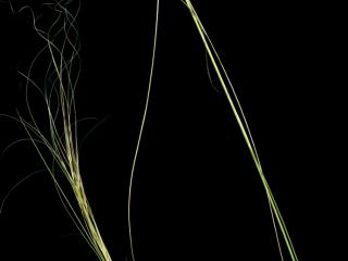 Img.VTax4123.ExN.Img1