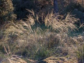 Img.VTax4123.ExN.Img10