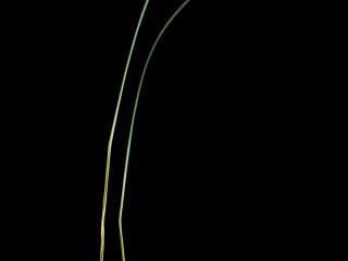 Img.VTax4123.ExN.Img3
