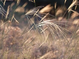 Img.VTax4123.ExN.Img4