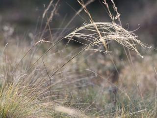 Img.VTax4123.ExN.Img6