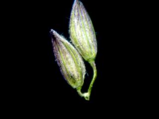 Img.VTax4181.ExN.Img9