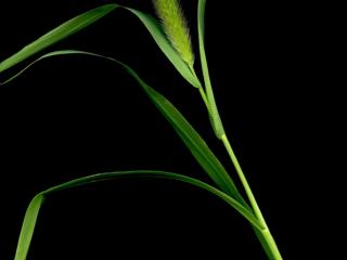 Img.VTax4192.ExN.Img9