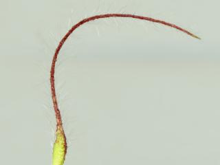 Img.VTax434.ExN.Img13