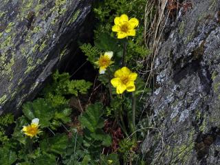 Img.VTax434.ExN.Img4