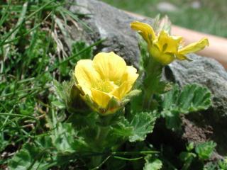 Img.VTax434.ExN.Img9