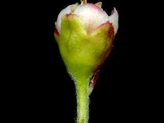 Img.VTax510.ExN.Img8