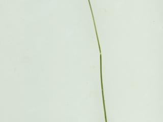 Img.VTax61.ExN.Img4