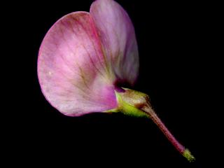 Img.VTax692.ExN.Img8