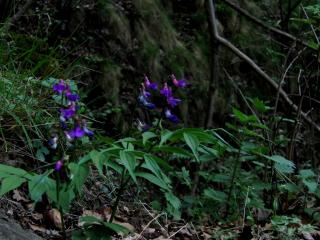 Img.VTax702.ExN.Img8