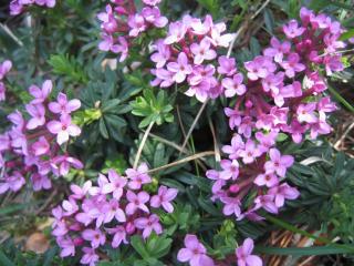 Img.VTax929.ExN.Img2