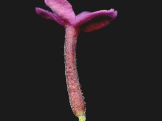 Img.VTax929.ExN.Img6
