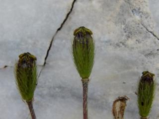 Img.VTax946.ExN.Img6