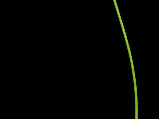 Img.VTax996.ExN.Img4