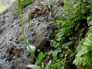 Img.VTax1090.ExN.Img6