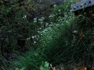 Img.VTax1102.ExN.Img2