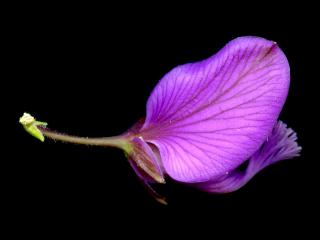 Img.VTax1467.ExN.Img6