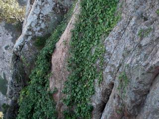Img.VTax1495.ExN.Img1