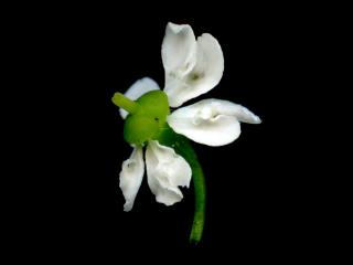 Img.VTax1519.ExN.Img11