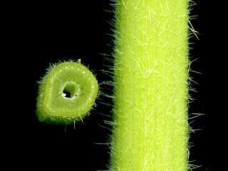 Img.VTax1519.ExN.Img14
