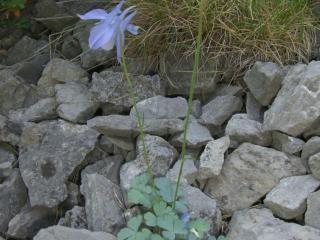 Img.VTax210.ExN.Img6