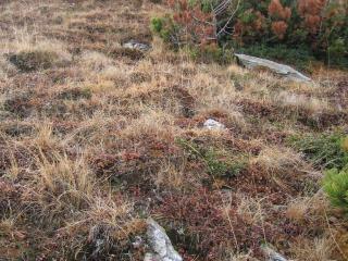 Img.VTax2147.ExN.Img15