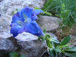Img.VTax2278.ExN.Img3