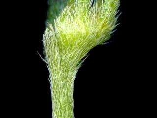 Img.VTax2327.ExN.Img7