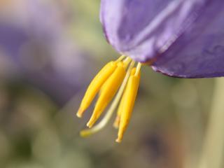 Img.VTax2559.ExN.Img4
